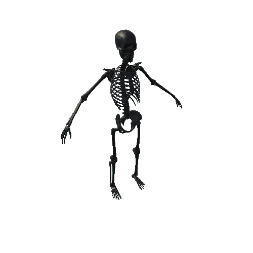 Black_Skeleton Variant